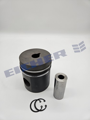 Kolben 100 für eicher - 100,00,